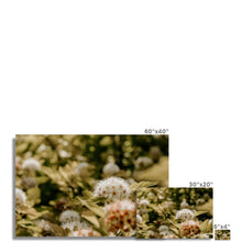 Încarcă imaginea în vizualizatorul Galerie, Photo Art Print