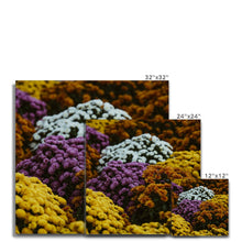 Load image into Gallery viewer, Canvas