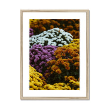 Încarcă imaginea în vizualizatorul Galerie, Framed & Mounted Print