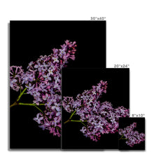 Carica l'immagine nel visualizzatore di Gallery, Canvas