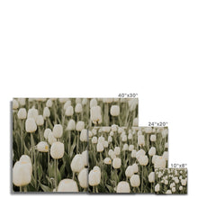 Load image into Gallery viewer, Canvas