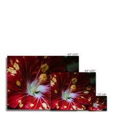 Carica l'immagine nel visualizzatore di Gallery, Canvas