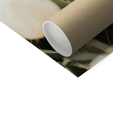 Încarcă imaginea în vizualizatorul Galerie, Photo Art Print