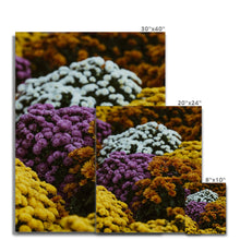 Load image into Gallery viewer, Canvas