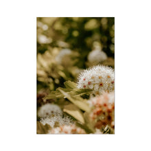 Încarcă imaginea în vizualizatorul Galerie, Photo Art Print