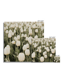 Încarcă imaginea în vizualizatorul Galerie, Fine Art Print