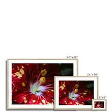 Încarcă imaginea în vizualizatorul Galerie, Framed & Mounted Print