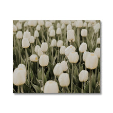 Load image into Gallery viewer, Canvas