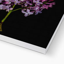 Carica l'immagine nel visualizzatore di Gallery, Canvas