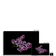 Încarcă imaginea în vizualizatorul Galerie, Fine Art Print