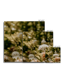 Load image into Gallery viewer, Canvas