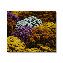 Load image into Gallery viewer, Canvas