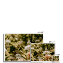 Încarcă imaginea în vizualizatorul Galerie, Framed Print
