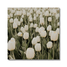 Carica l'immagine nel visualizzatore di Gallery, Canvas
