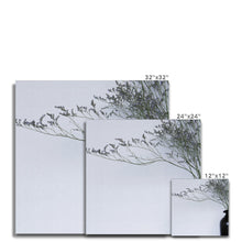 Carica l'immagine nel visualizzatore di Gallery, Canvas
