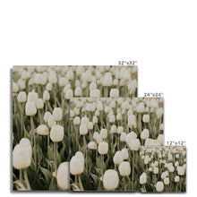 Carica l'immagine nel visualizzatore di Gallery, Canvas
