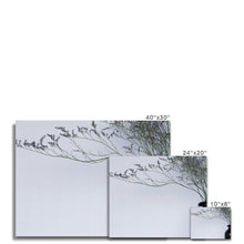 Carica l'immagine nel visualizzatore di Gallery, Canvas
